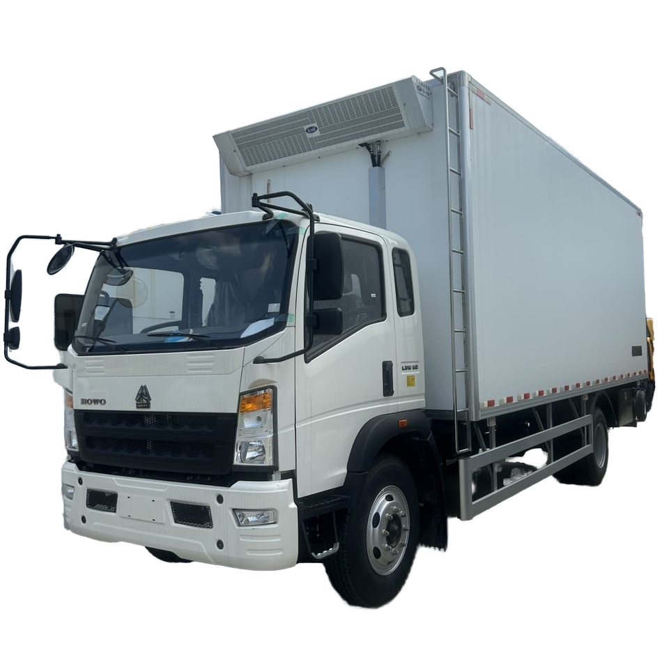 Factory Price HOWO 6m Frozen Box Truck , Custom Insulation & Temperature Control , Global Shippi